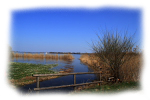Bild102