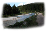 Bild5
