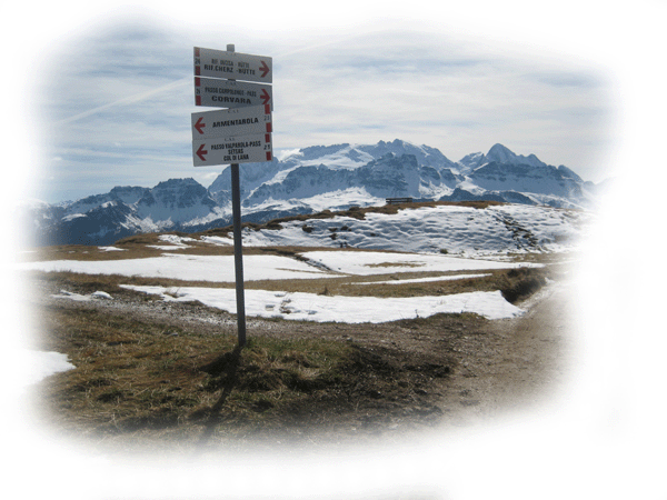 Bild5